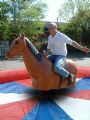 Rodeo Horse Hire
